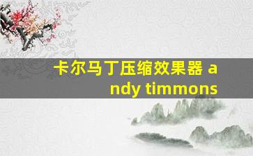 卡尔马丁压缩效果器 andy timmons